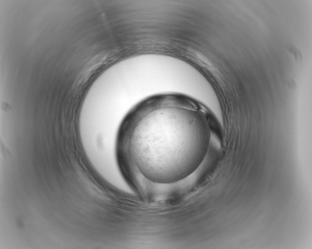 X0000090890452200708101405