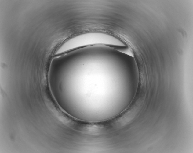 X0000090890453200708101405