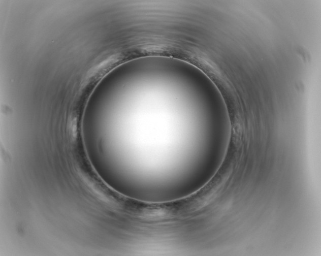 X0000090890454200708101405