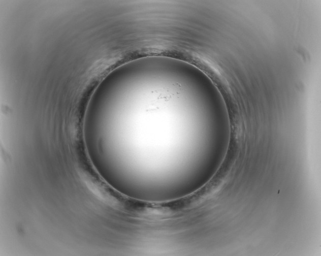 X0000090890455200708101405