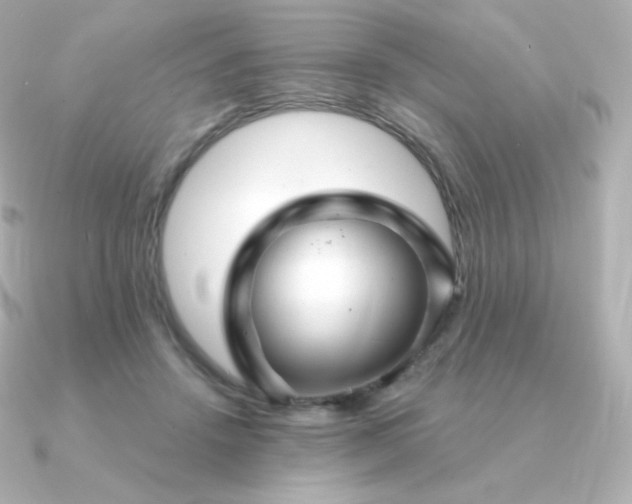 X0000090890456200708101405