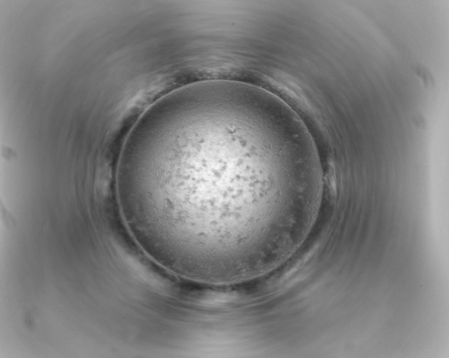 X0000090890458200708101405