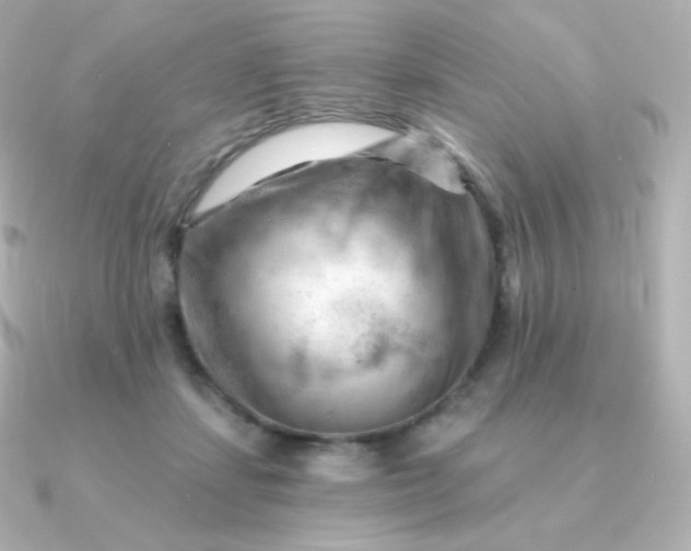 X0000090890459200708101405