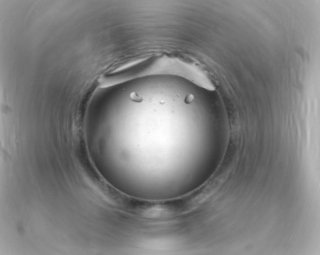 X0000090890460200708101405