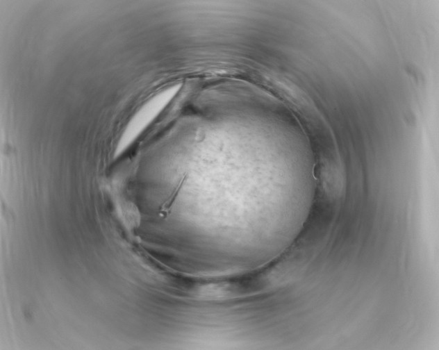 X0000090890461200708101405