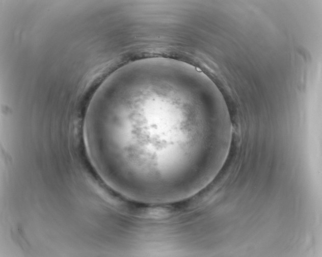 X0000090890462200708101405