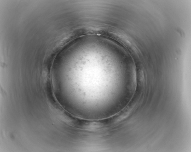 X0000090890463200708101405