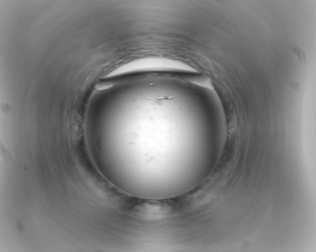 X0000090890464200708101405