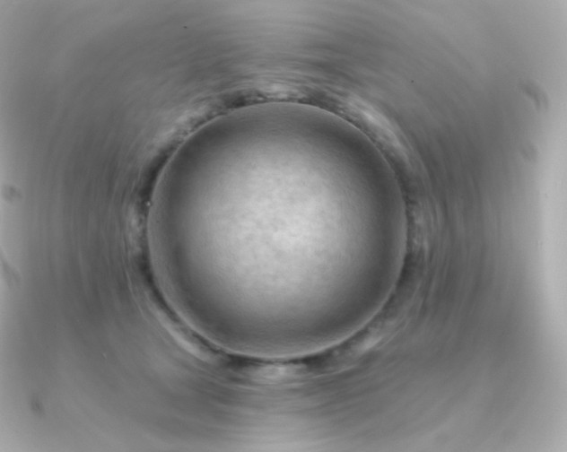 X0000090890465200708101405