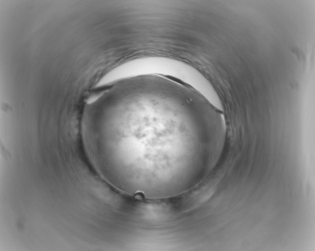 X0000090890466200708101405