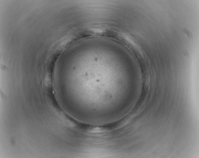 X0000090890467200708101405