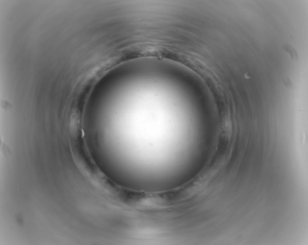 X0000090890468200708101405