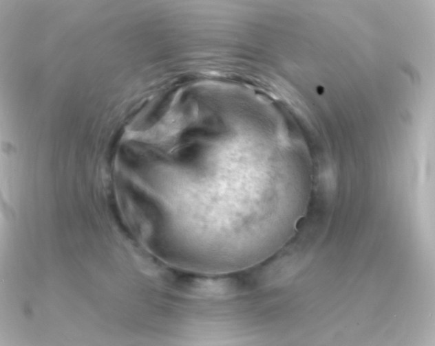 X0000090890469200708101405