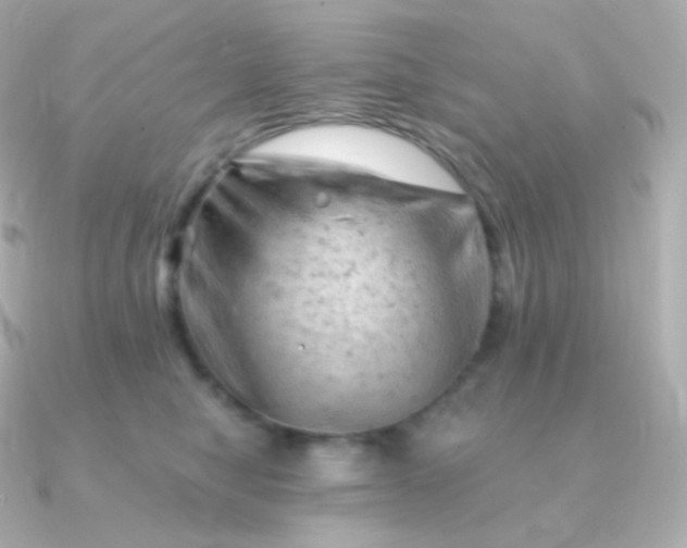 X0000090890470200708101405