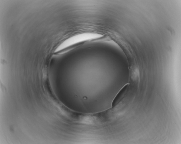 X0000090890471200708101405