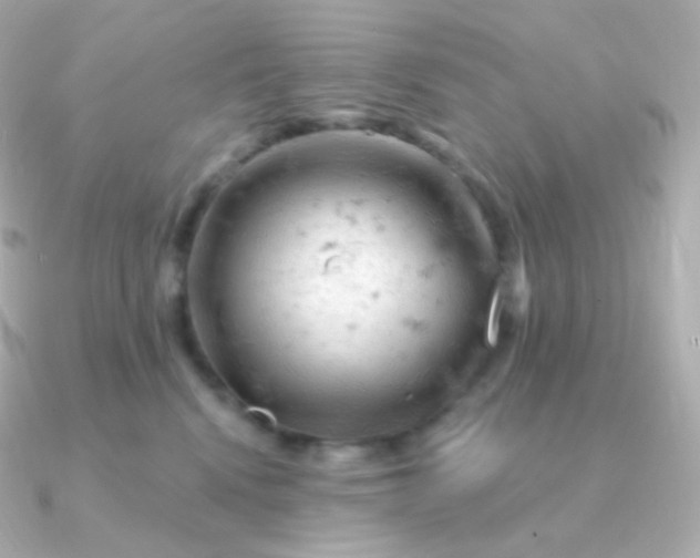 X0000090890472200708101405