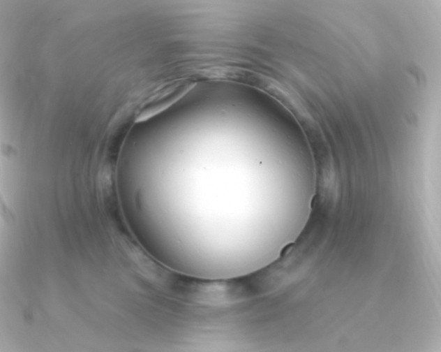 X0000090890473200708101405