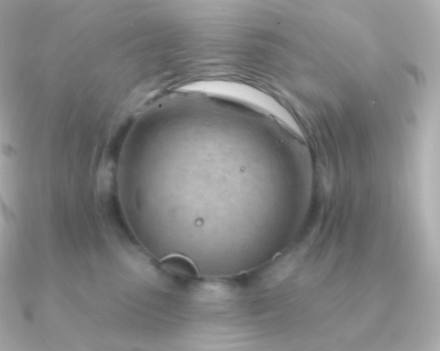 X0000090890475200708101405