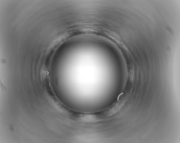 X0000090890476200708101405