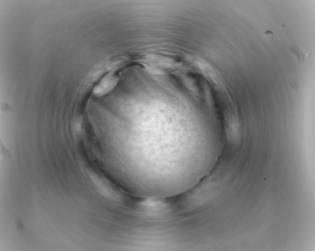 X0000090890477200708101405