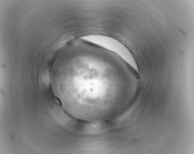 X0000090890479200708101405