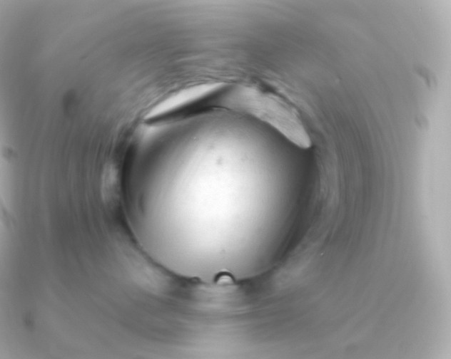 X0000090890480200708101405