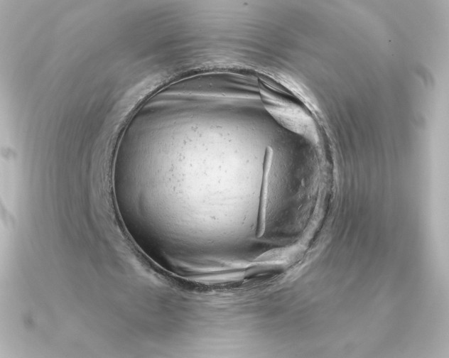 X0000090890481200708101405