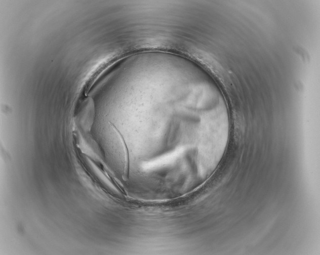 X0000090890482200708101405