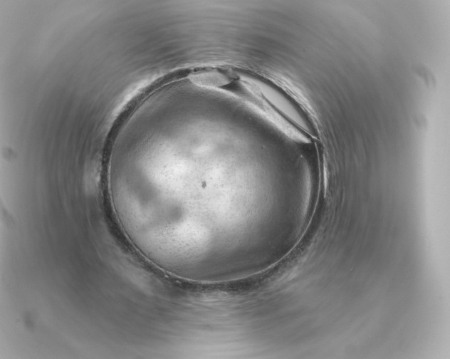 X0000090890483200708101405