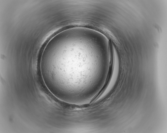 X0000090890484200708101405