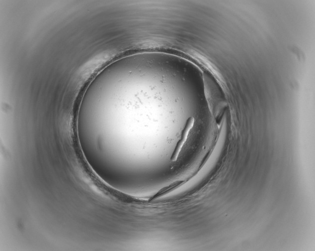 X0000090890485200708101405