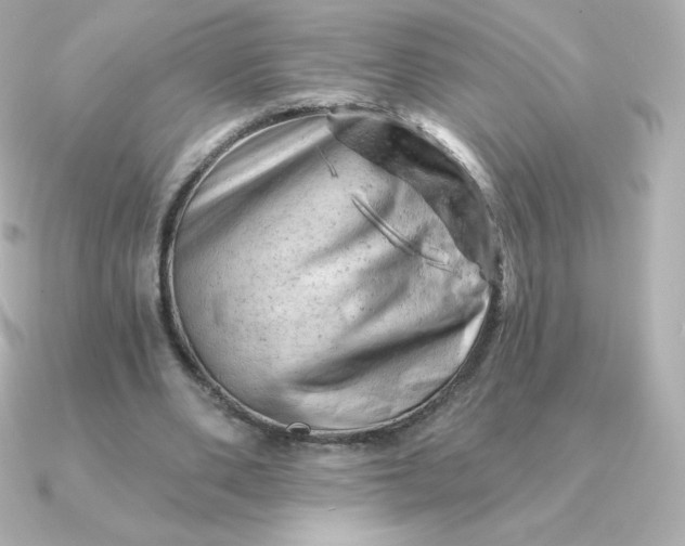 X0000090890486200708101405