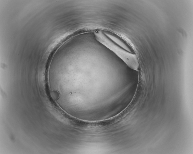 X0000090890487200708101405