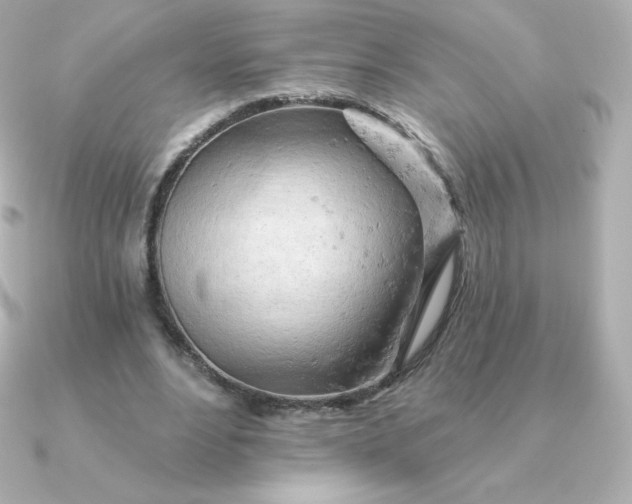 X0000090890488200708101405