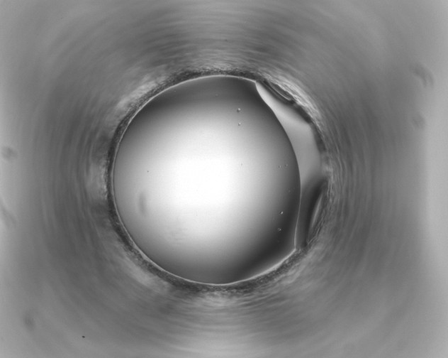 X0000090890489200708101405