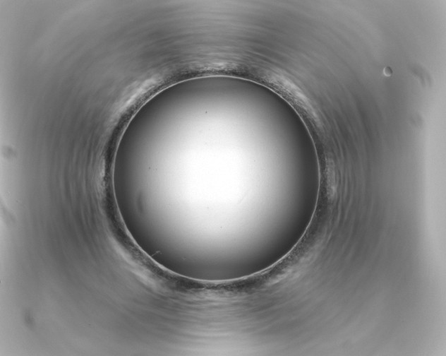 X0000090890490200708101405