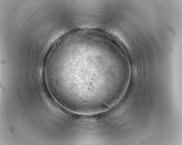 X0000090890491200708101405