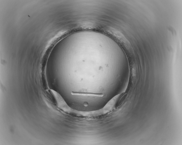 X0000090890492200708101405