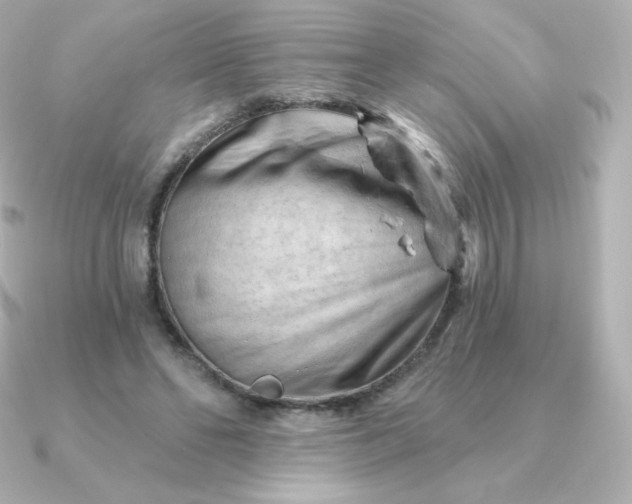 X0000090890494200708101405