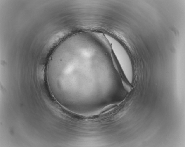 X0000090890495200708101405