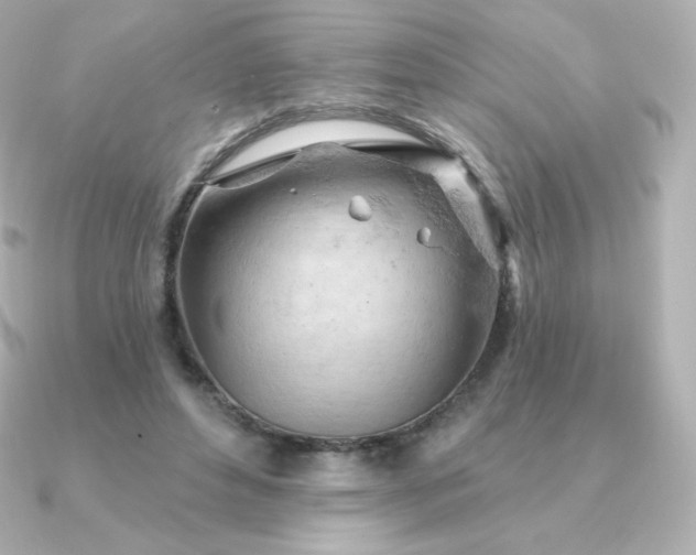 X0000090890496200708101405