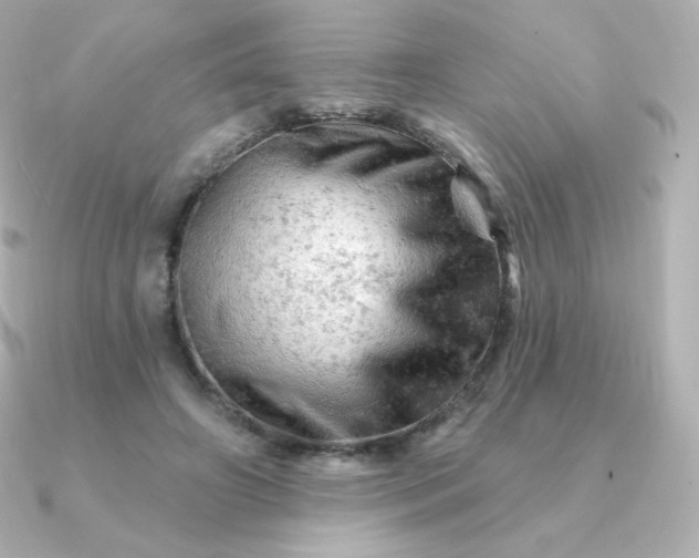 X0000090890498200708101405