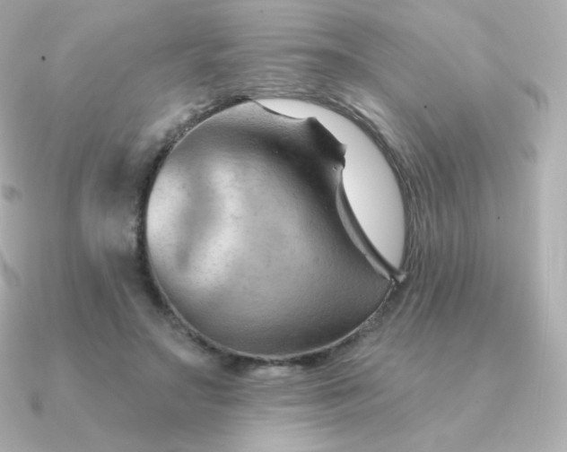 X0000090890499200708101405