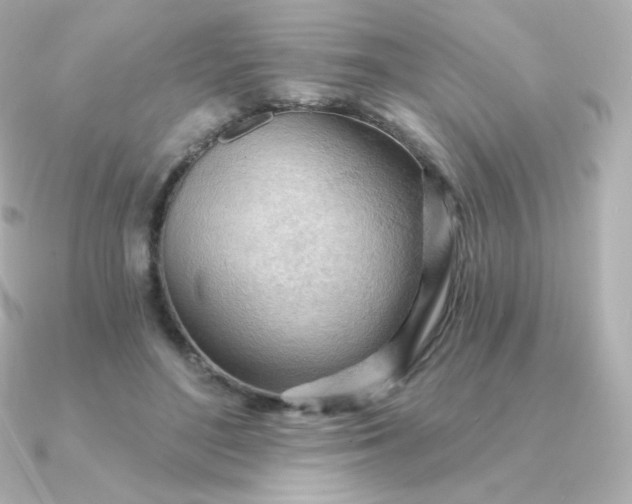 X0000090890500200708101405