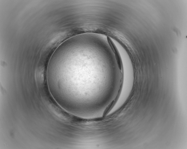 X0000090890501200708101405