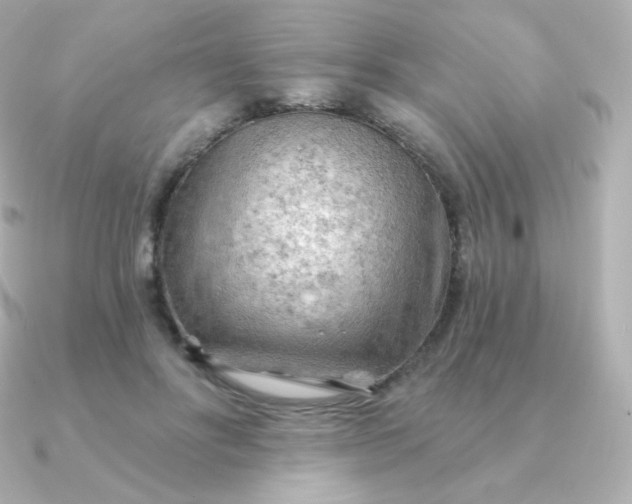 X0000090890502200708101405