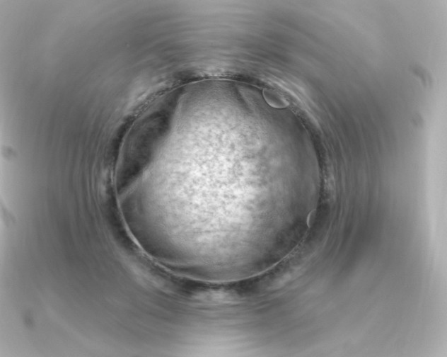 X0000090890503200708101405