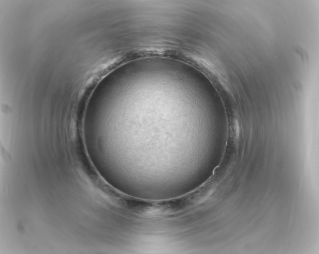 X0000090890504200708101405