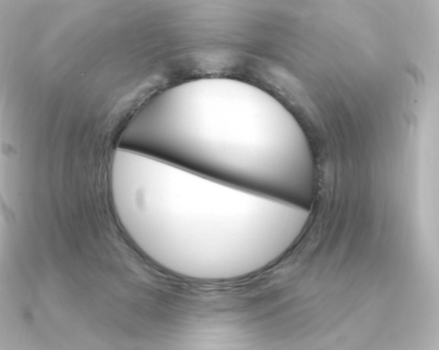 X0000090890505200708101405