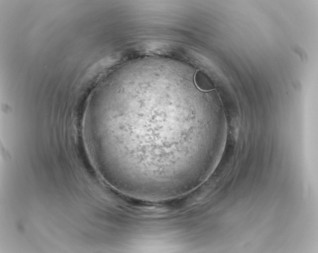 X0000090890506200708101405